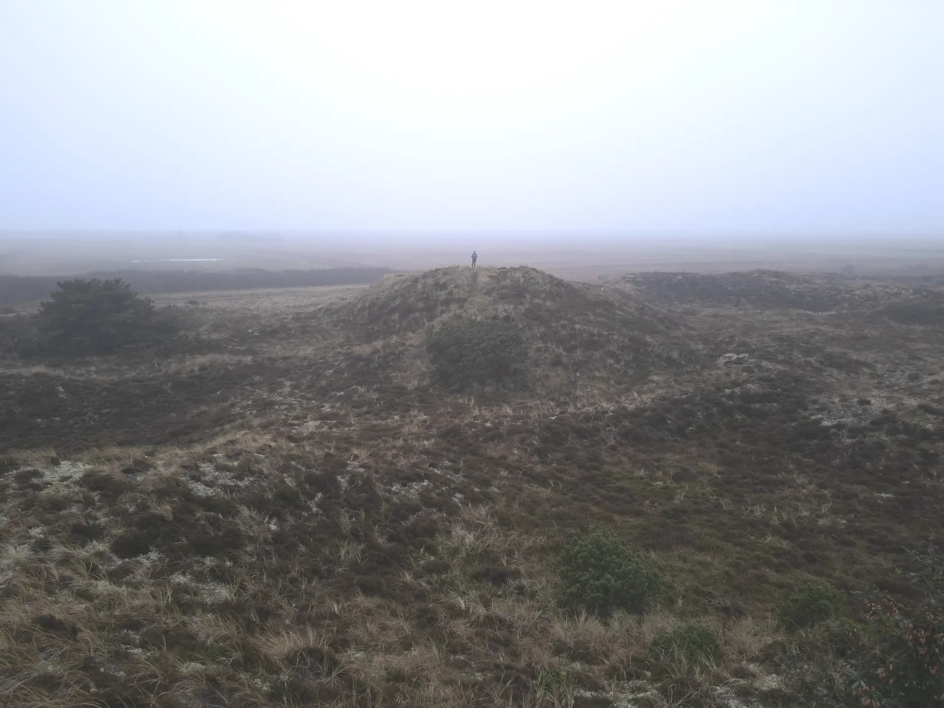 A drone photo of a person standing on a hill in an empty marsh on a foggy day. The person is tiny in the distance. The white fog takes up half the picture above the skyline.